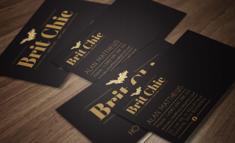 graphiste saint barth sbh fwi graphisme création logotype gustavia agence de communication publicité